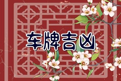 隐私与号码输入