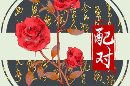 八字排位 己土命富贵八字 专业看下八字 命格排盘查询