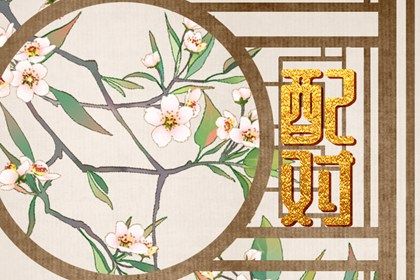 夫妻相配对|姓名田雪配对|婚缘配对免费