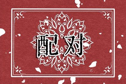 分数不高时的相处策略