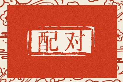 理想型的文化差异