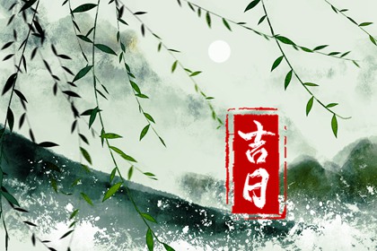 冲煞字段怎么标