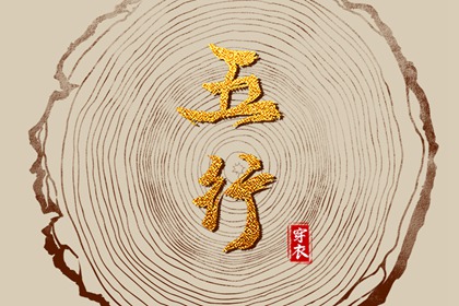 配件栏怎么利用