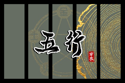 如何高效使用查询工具